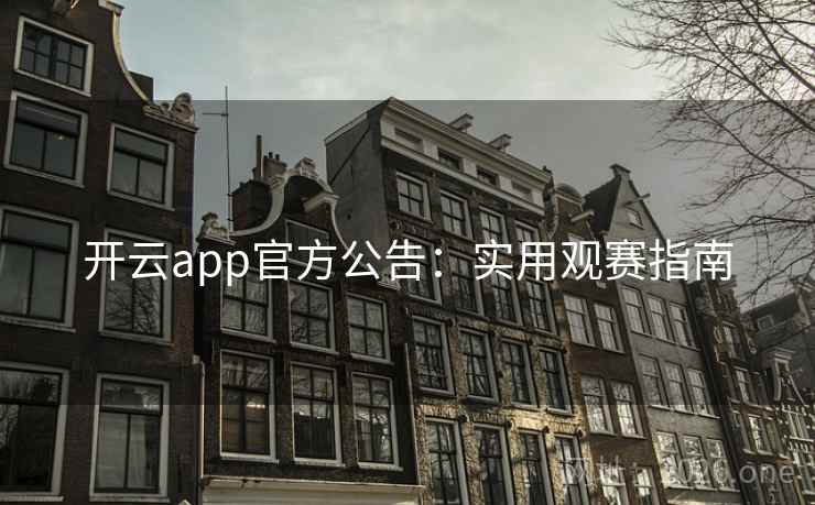 开云app官方公告:实用观赛指南 第2张 开云app官方公告:实用观赛指南 第2张