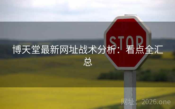 博天堂最新网址战术分析:看点全汇总