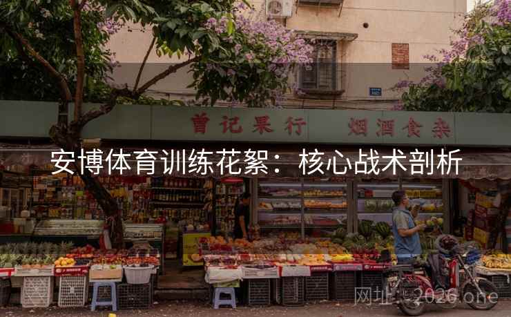 安博体育训练花絮：核心战术剖析